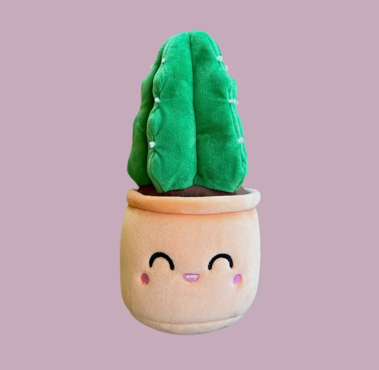Blushiez ‘Cuddly Cactus’ Plushie