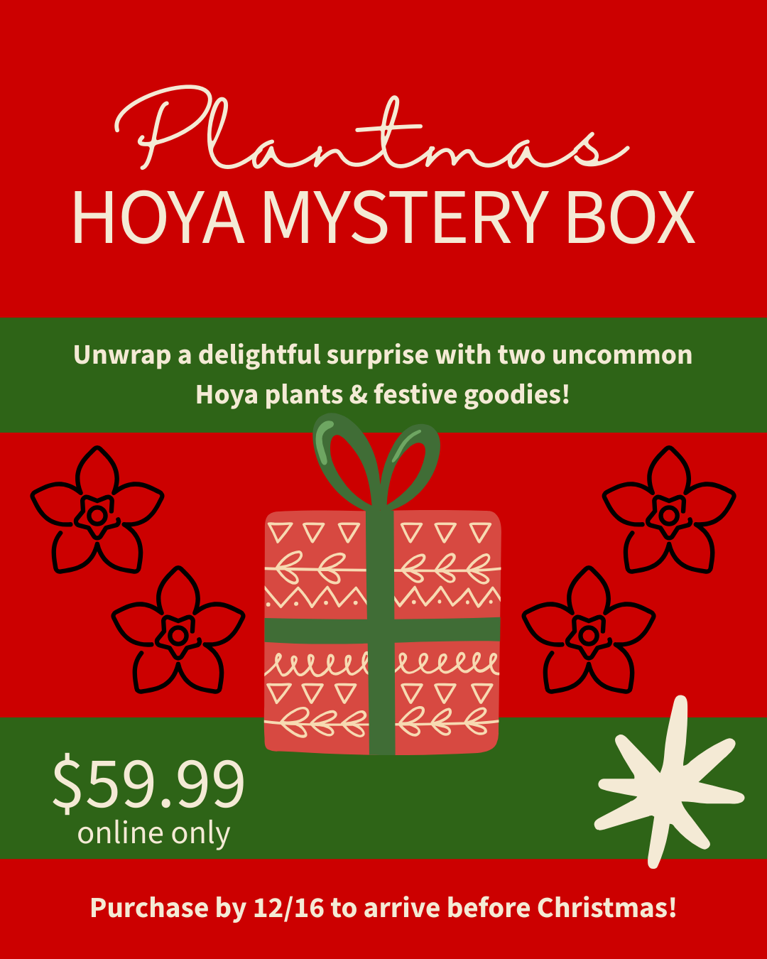 Plantmas Hoya Box π