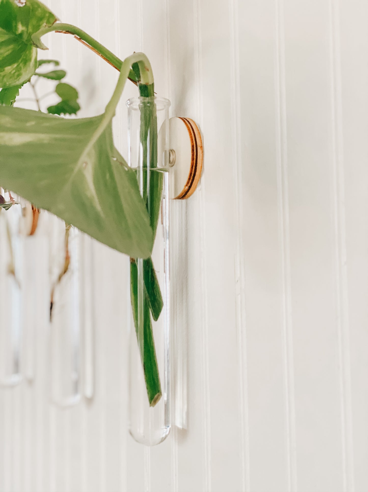 Wooden Propagation Planter