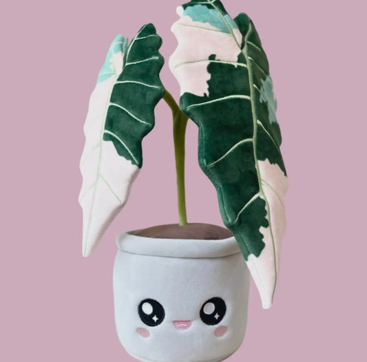 Blushiez 'Varigated Alocasia Amazonica' Plushie