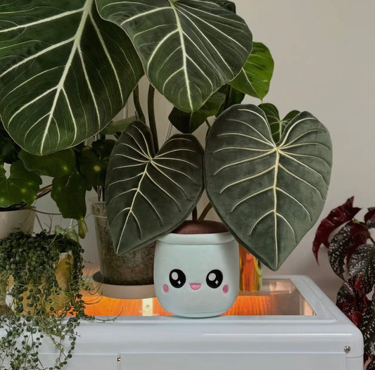Blushiez ‘Philodendron Gloriosum’ Plushie