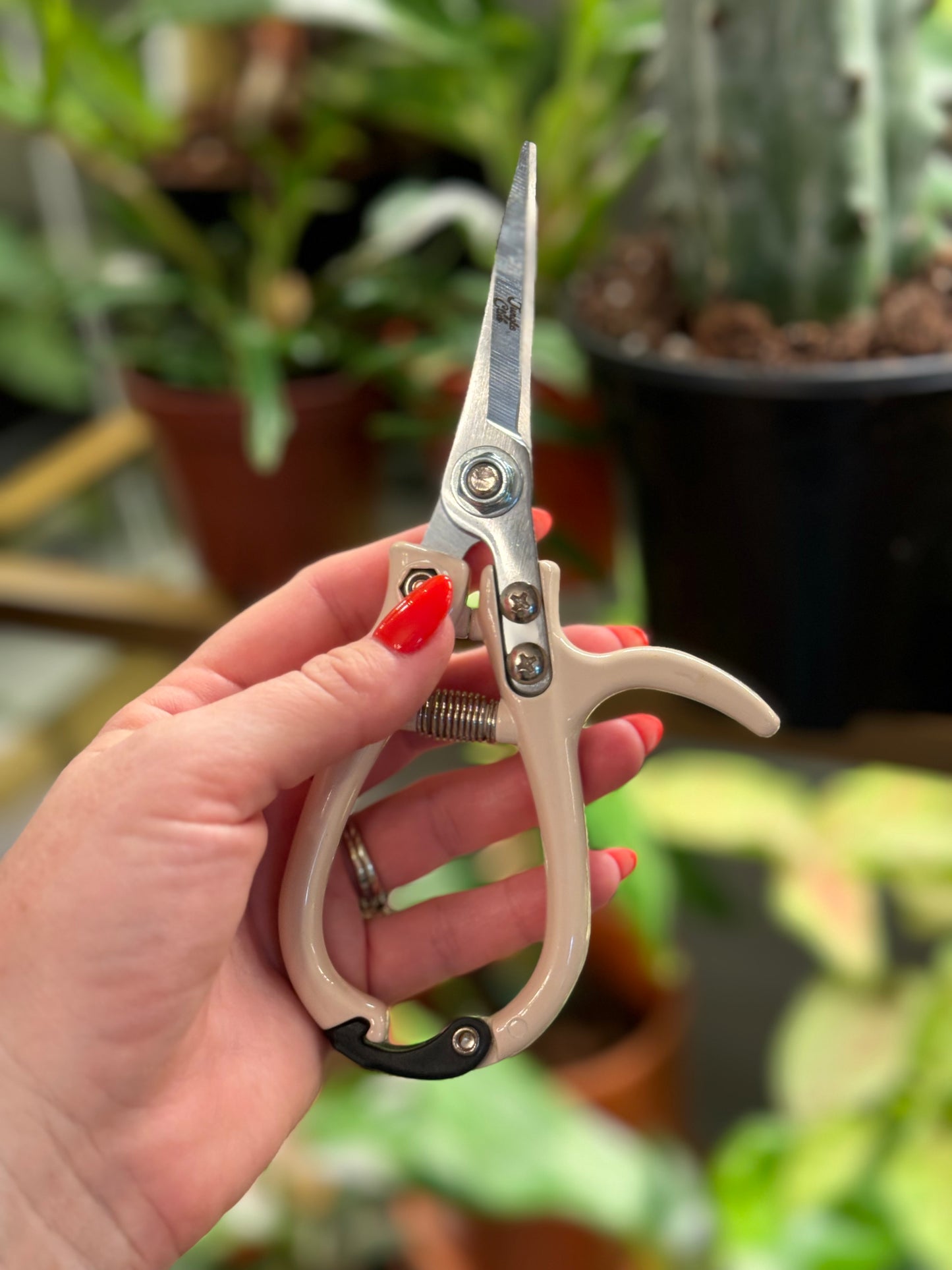 Pruning Shears | Vanilla