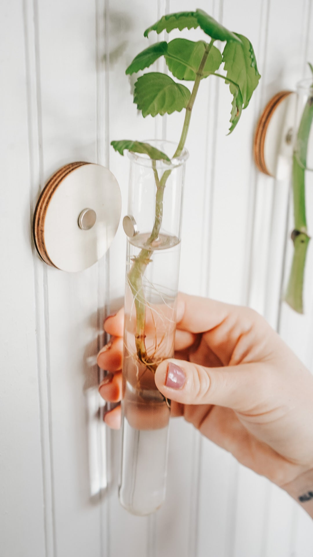 Wooden Propagation Planter