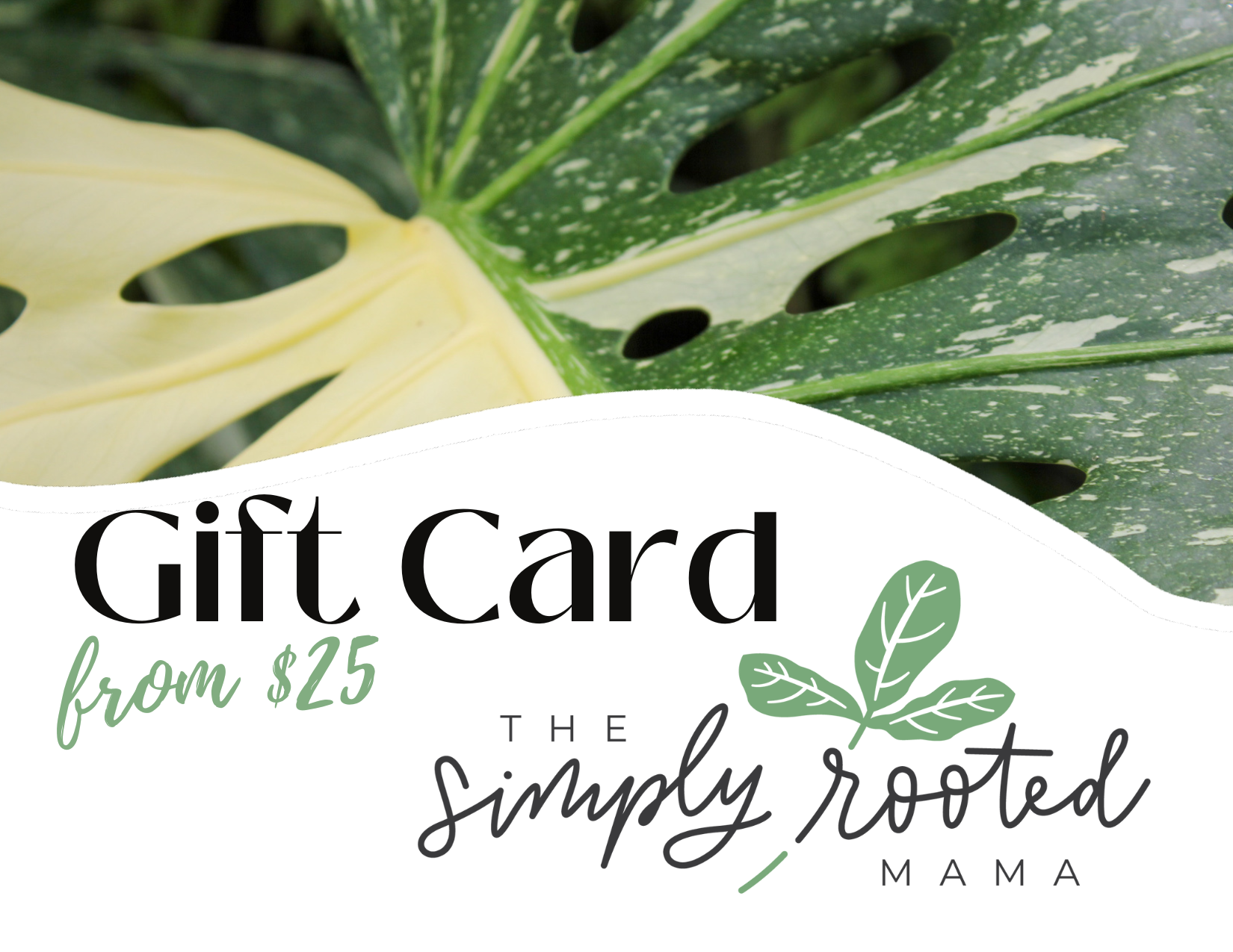 Simply Rooted Gift Card – Thesimplyrootedmama
